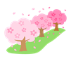 今年の花はかなり長い間咲いています。